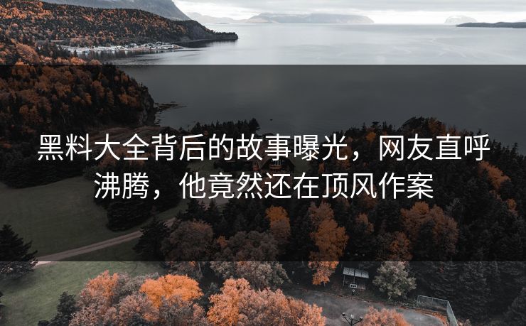 黑料大全背后的故事曝光，网友直呼沸腾，他竟然还在顶风作案
