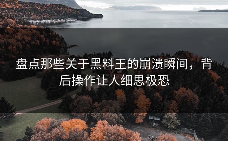盘点那些关于黑料王的崩溃瞬间，背后操作让人细思极恐
