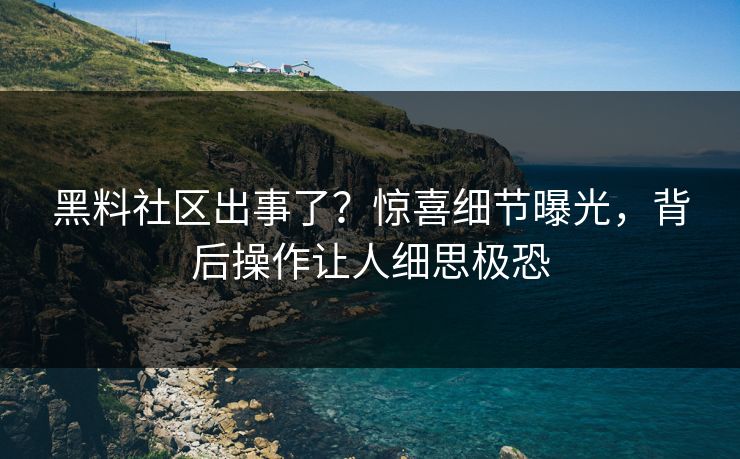 黑料社区出事了？惊喜细节曝光，背后操作让人细思极恐