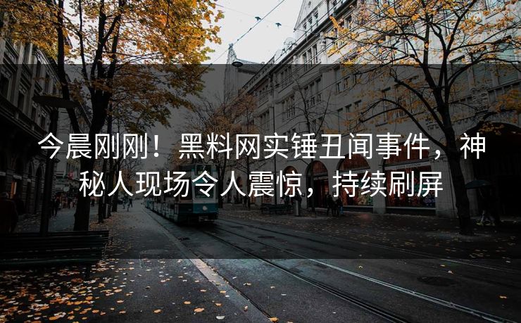 今晨刚刚！黑料网实锤丑闻事件，神秘人现场令人震惊，持续刷屏