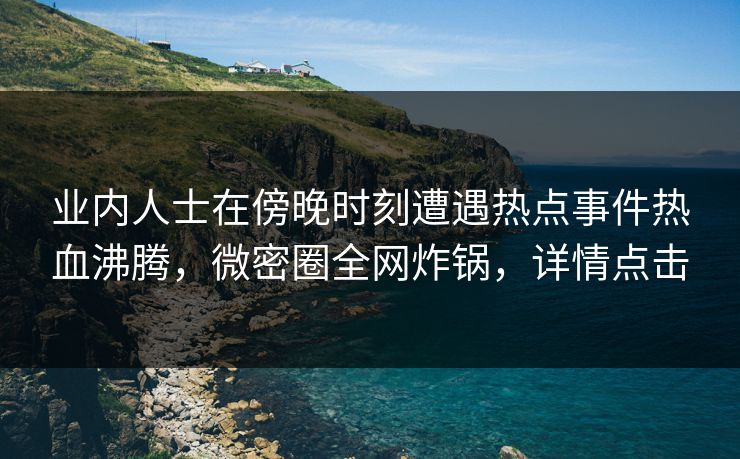 业内人士在傍晚时刻遭遇热点事件热血沸腾，微密圈全网炸锅，详情点击