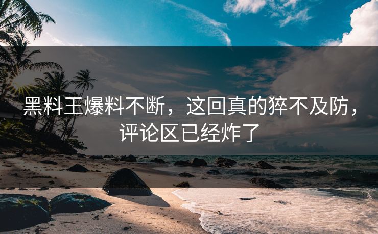 黑料王爆料不断，这回真的猝不及防，评论区已经炸了