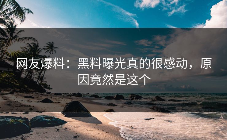 网友爆料：黑料曝光真的很感动，原因竟然是这个