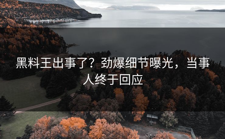 黑料王出事了？劲爆细节曝光，当事人终于回应