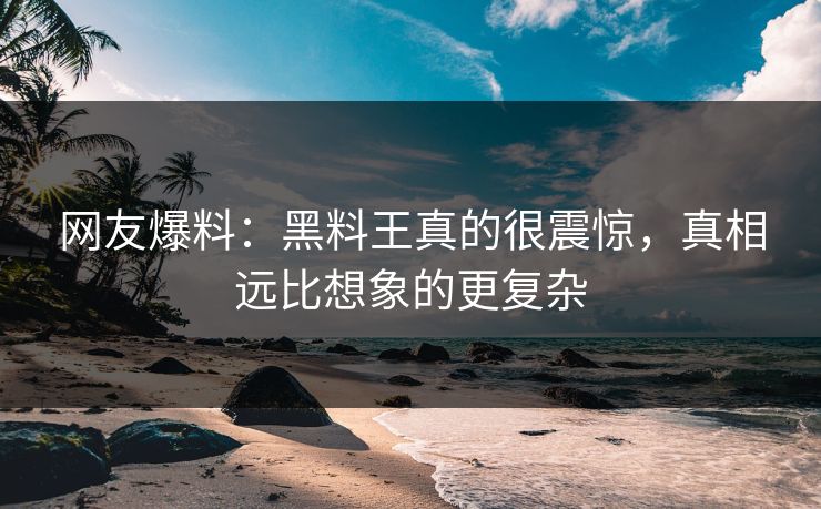 网友爆料：黑料王真的很震惊，真相远比想象的更复杂