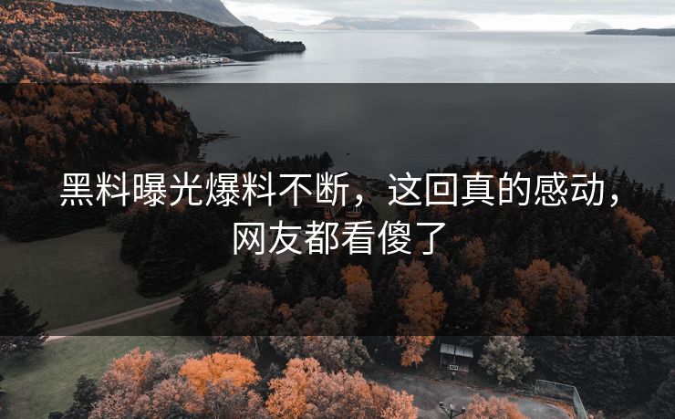 黑料曝光爆料不断，这回真的感动，网友都看傻了
