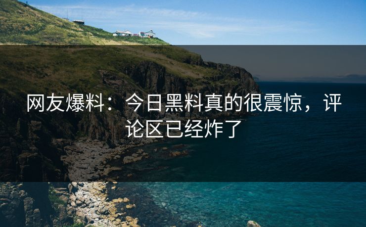 网友爆料：今日黑料真的很震惊，评论区已经炸了
