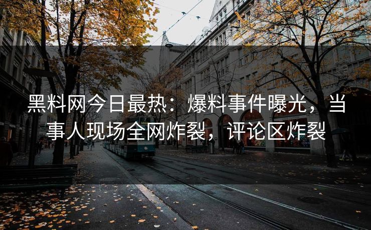 黑料网今日最热：爆料事件曝光，当事人现场全网炸裂，评论区炸裂