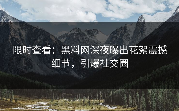 限时查看：黑料网深夜曝出花絮震撼细节，引爆社交圈